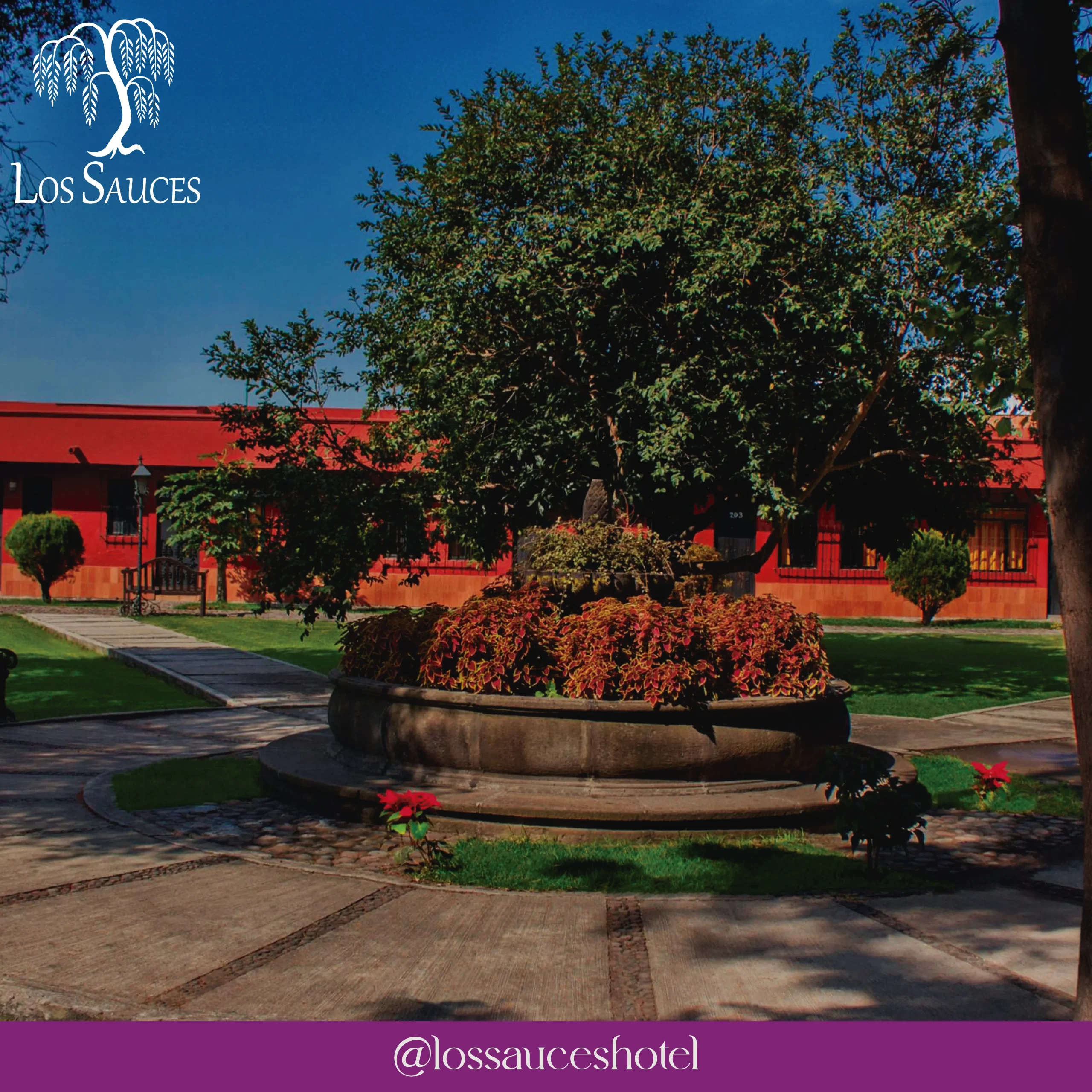 Hotel Los Sauces — foto 2, San Pedro Cholula, Puebla